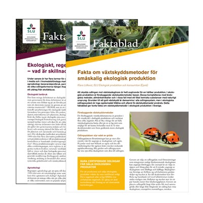 Framsidorn av faktabladen om eko och växtskydd.