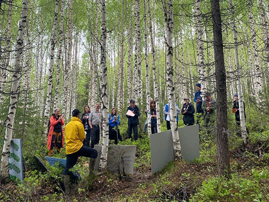 En grupp människor lyssnar till en man med postrar i en björkskog. Foto.