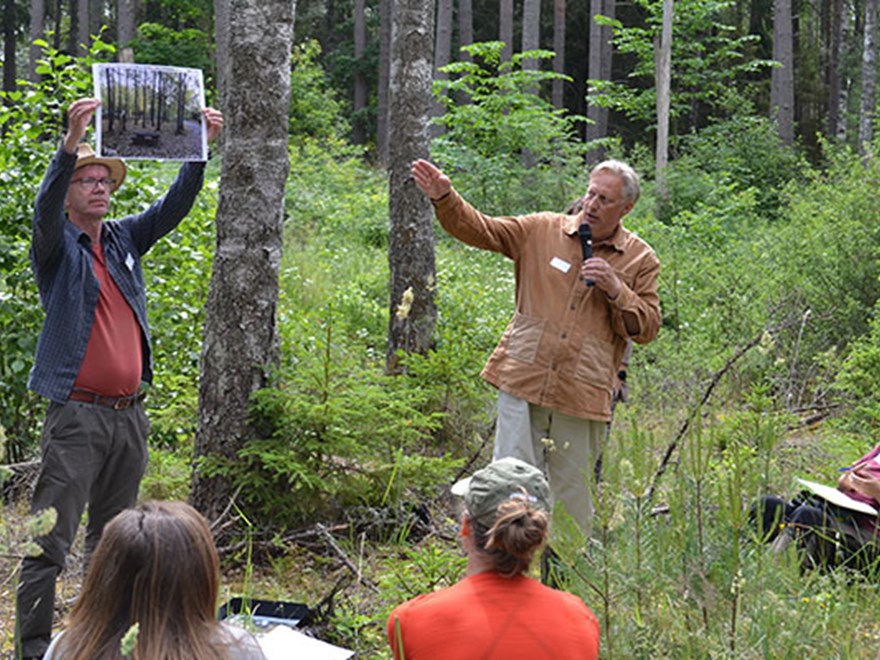 Presentation under Future Forests exkursion i Uppsala