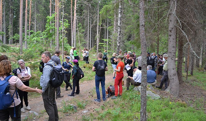 Gruppdiskussioner