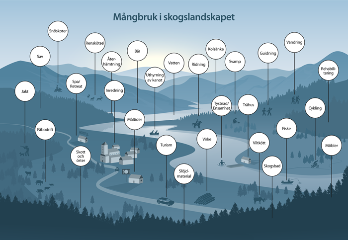 Illustatration som föreställer olika former av mångbruk. Jerker Lokrantz/Azote