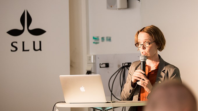 Annika Nordin under Almedalsveckan
