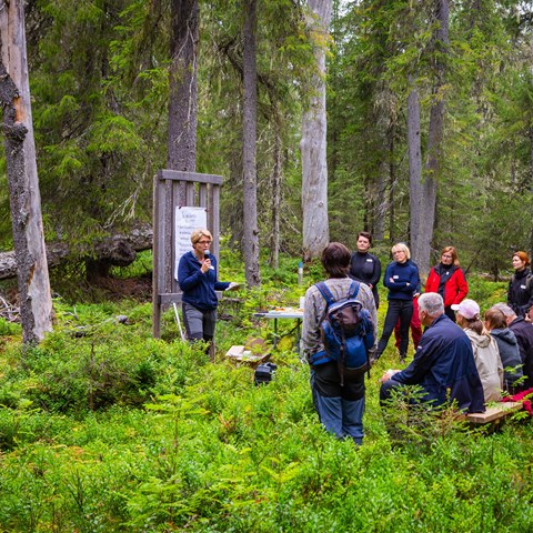 Människor i skogen lyssnar på kvinna som pratar i mikrofon framför ett plakat med text. Foto.