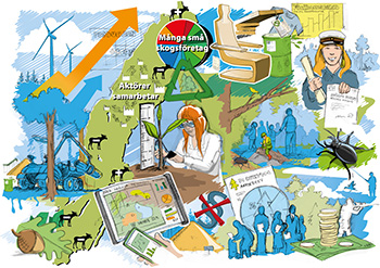 Den önskvärda framtida skogen om 40 år - skogsbruk och energi