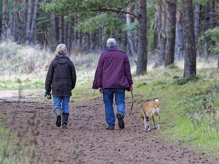 Två personer och en hund vid en skog. Photo.