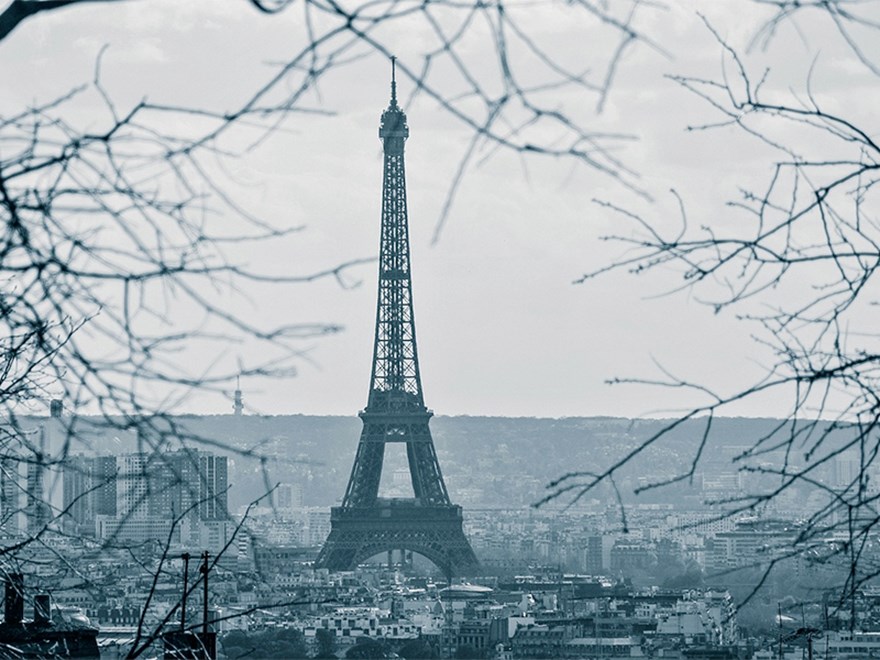Eiffeltornet med grenar i förgrunden. Foto.