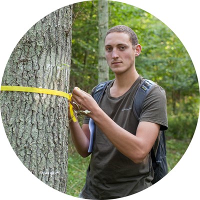 En man mäter ett träds diameter med ett gult måttband. Foto.