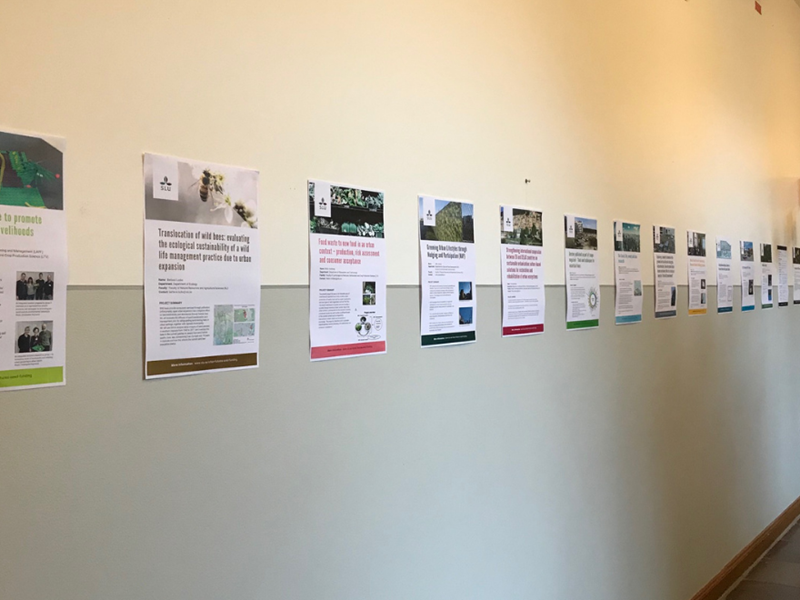 Row of posters on a wall.