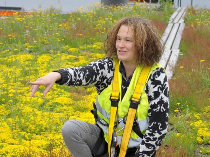 Susanna Lehvävirta on a green roof.
