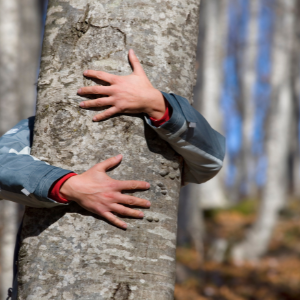 A person hugging a tree.