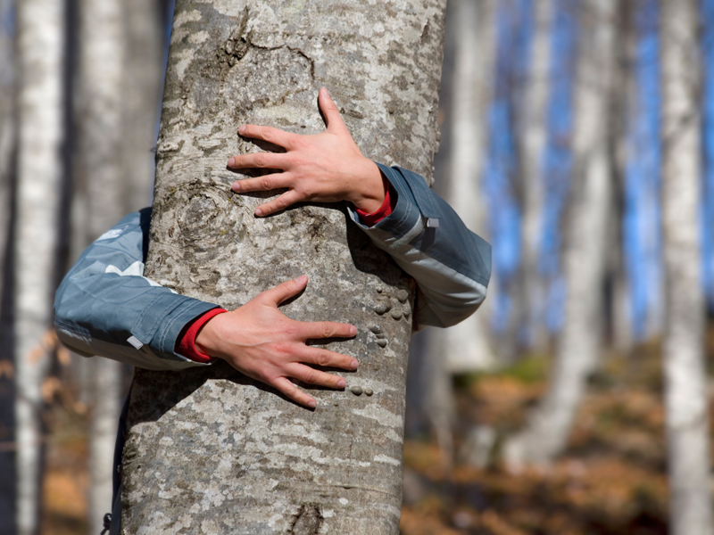 A person hugging a tree.