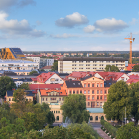 View over Uppsala.