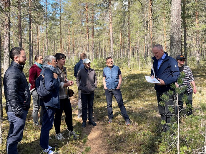 A group of people in a forest.