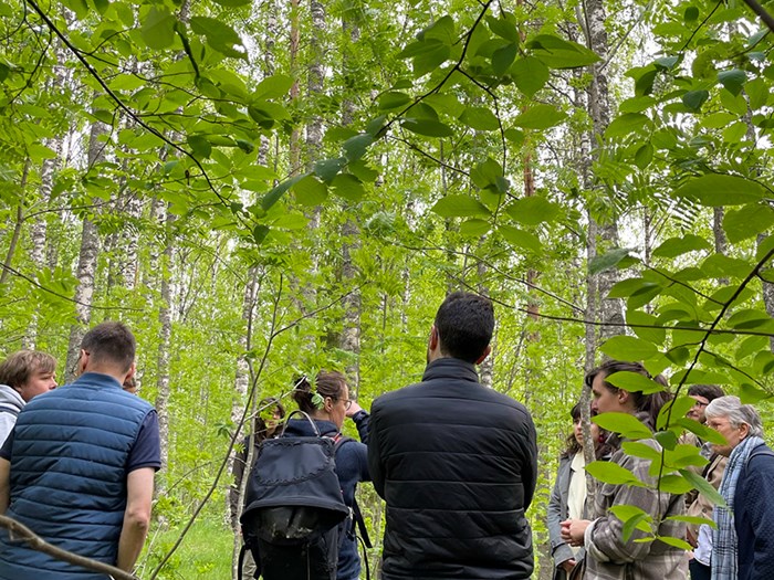 A group of people in a green deciduousforest.