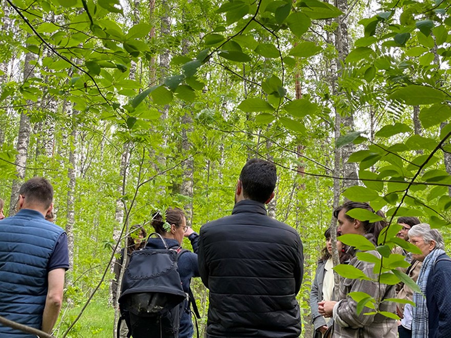A group standing in a green forest.