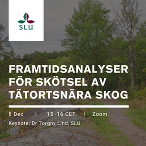 Future analysis of the management of urban forests.