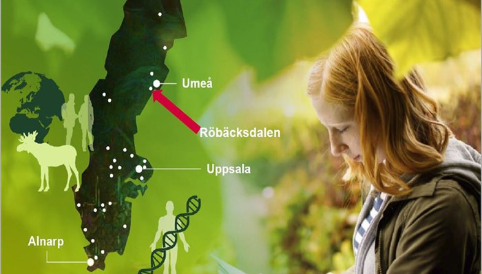 A map of Sweden that shows where Rörbäcksdalen is located in Umeå.