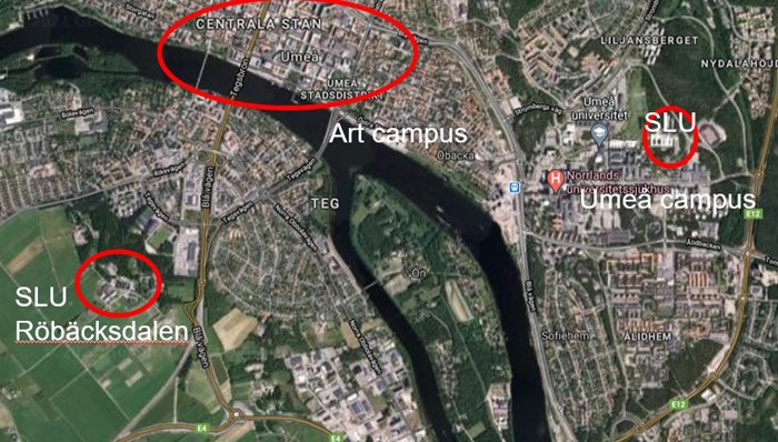 Satellite image showing the different campus areas in Umeå.
