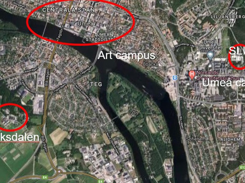 Satellitbild som visar de olika campusområdena i Umeå.
