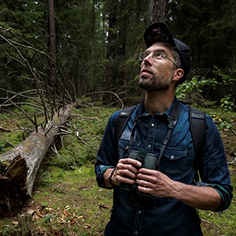 Porträtt av Marcus Hedblom i en skog.