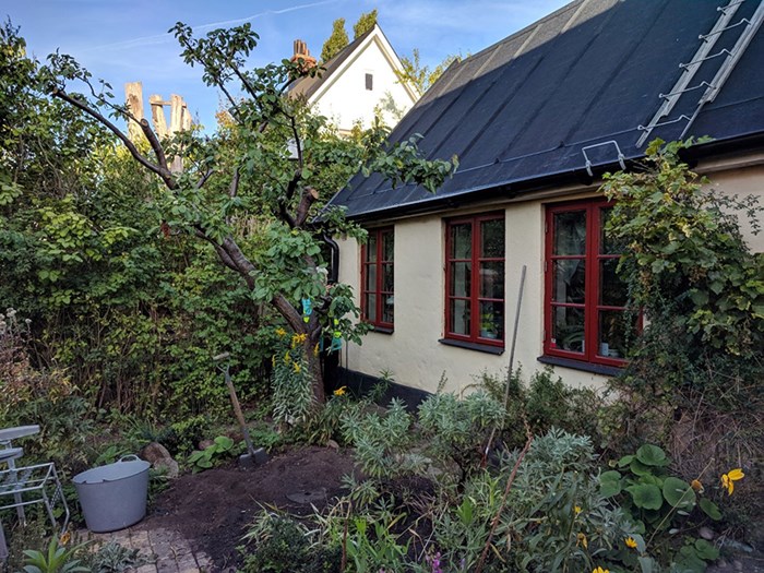 A garden with flower bed and apple trees next to a house.