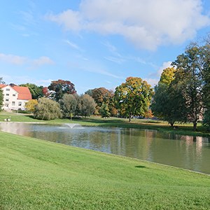A pond surrounded by lawn in urban environment.