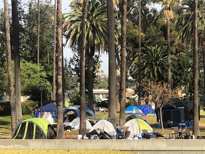 Tents among palm trees in urban area.