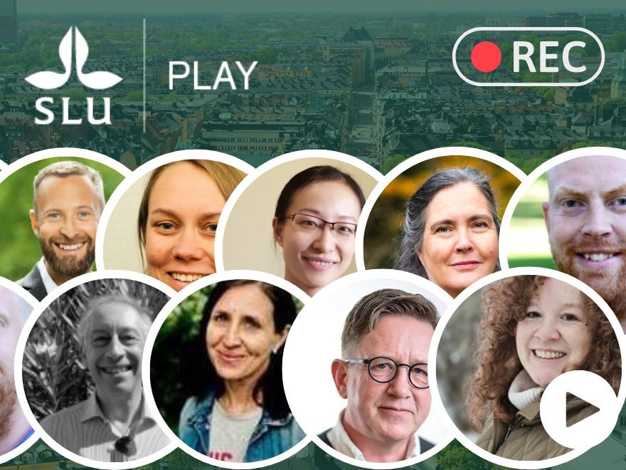 Rader med porträttbilder och texten SLU Play - REC.