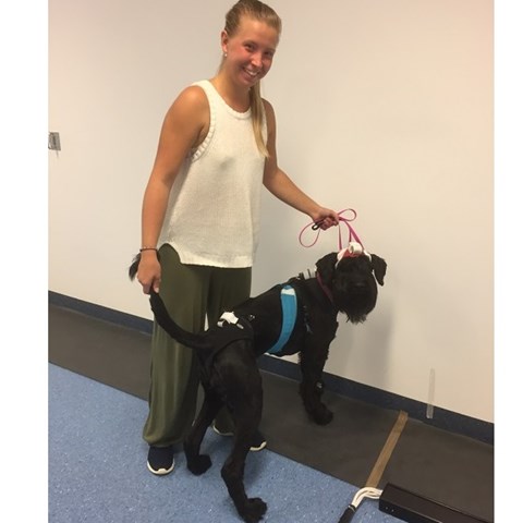 Kvinna och svart hund. foto