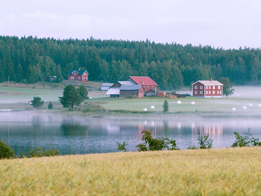 Norrländskt lantbruk, foto.