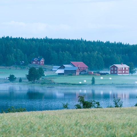 Lantbruk i Norrland, foto.