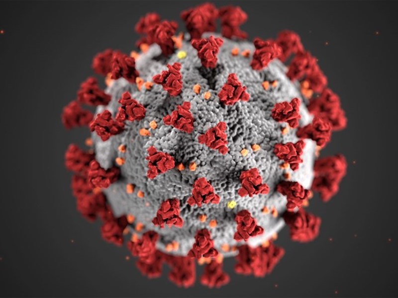 Corona-virus