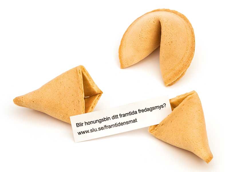 Photo of fortune cookies.
