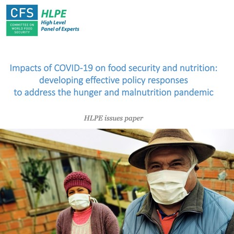 Cover from the UN-report mpacts of COVID-19 on food 