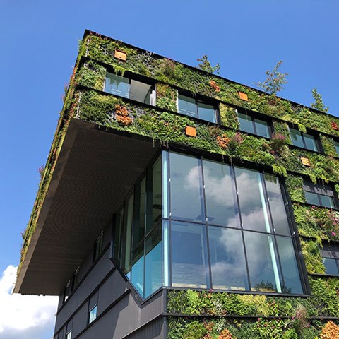 Almere building with green plant walls. Photo.