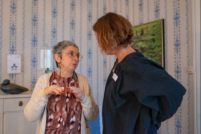 Two women har talking with each other. Photo.