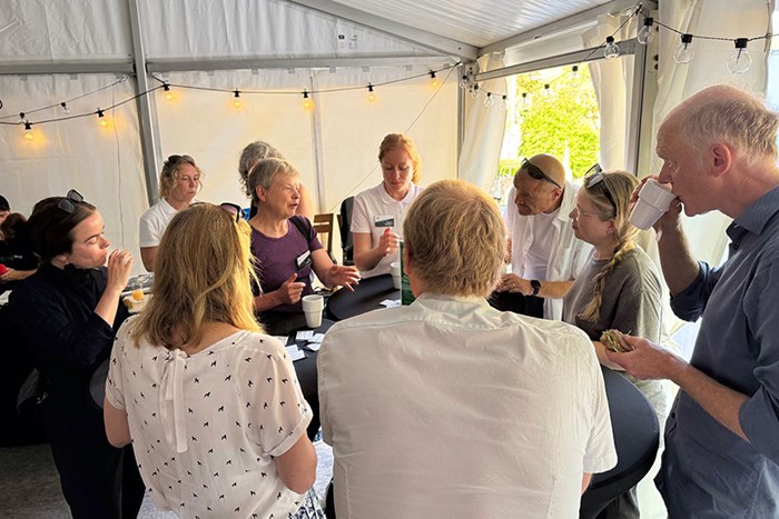 Gruppdiskussioner kring små rundabord. Foto.
