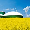 Biogasanläggning. I förgrunden blommande gult rapsfält, i bakgrunden blå himmel och vindkraftverk. Foto.