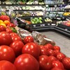 Grönsaksdisk i matvaruaffär, i förgrunden röda tomater. Foto.