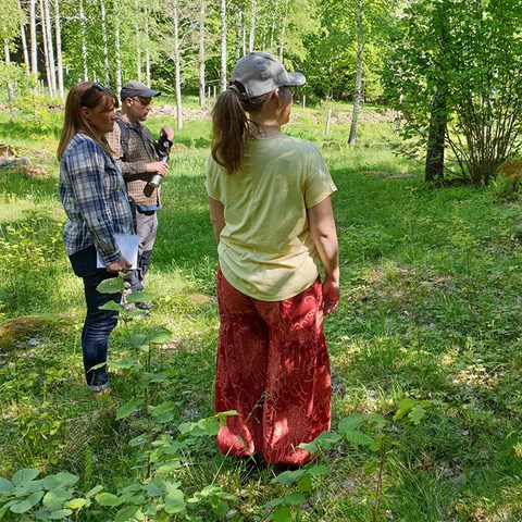A group of researchers discussing in a forest.