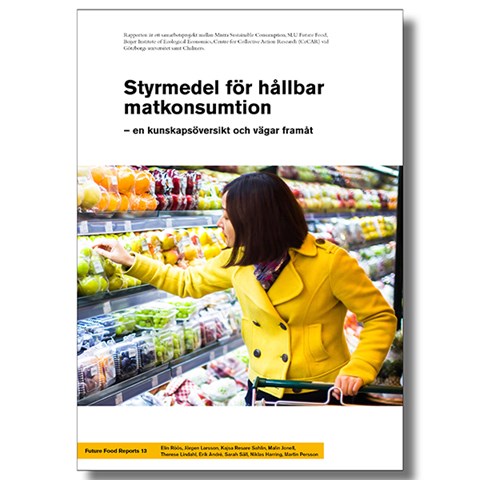 Omslaget på rapporten om styrmedel.