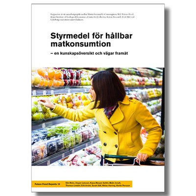 Omslaget på rapporten om styrmedel.