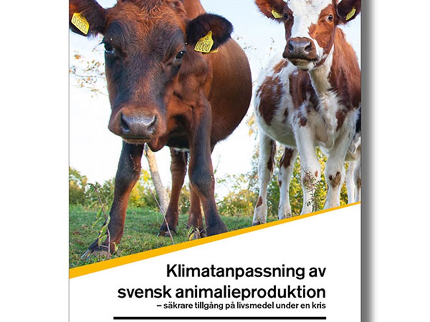 Omslag till SLU Future Food rapport 15