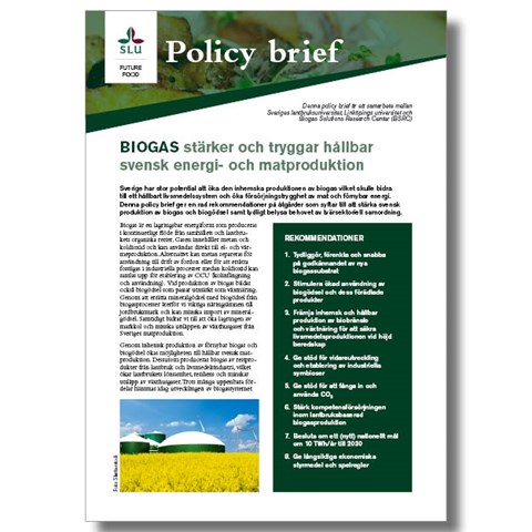 Omslag till policy brief om biogas.