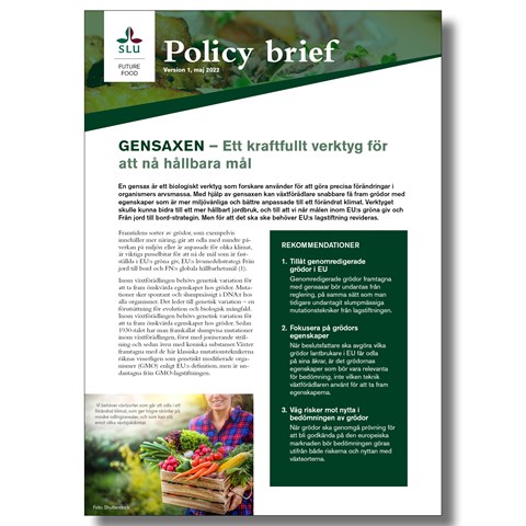 Omslagsbild policy brief gensaxen
