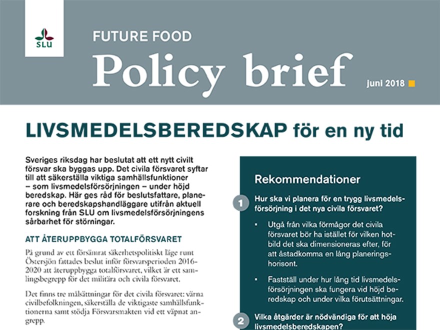 Policy brief om livsmedelsberedskap