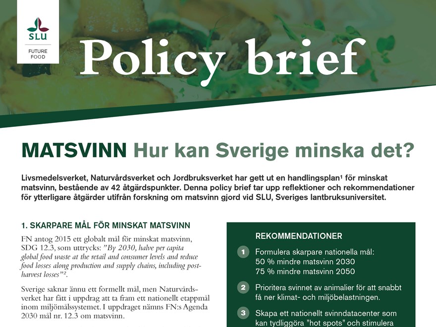 SLU Future Food Policy Brief Matsvinn 2