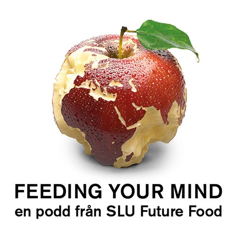 Logotyp för podden Feeding your mind från SLU Future Food.