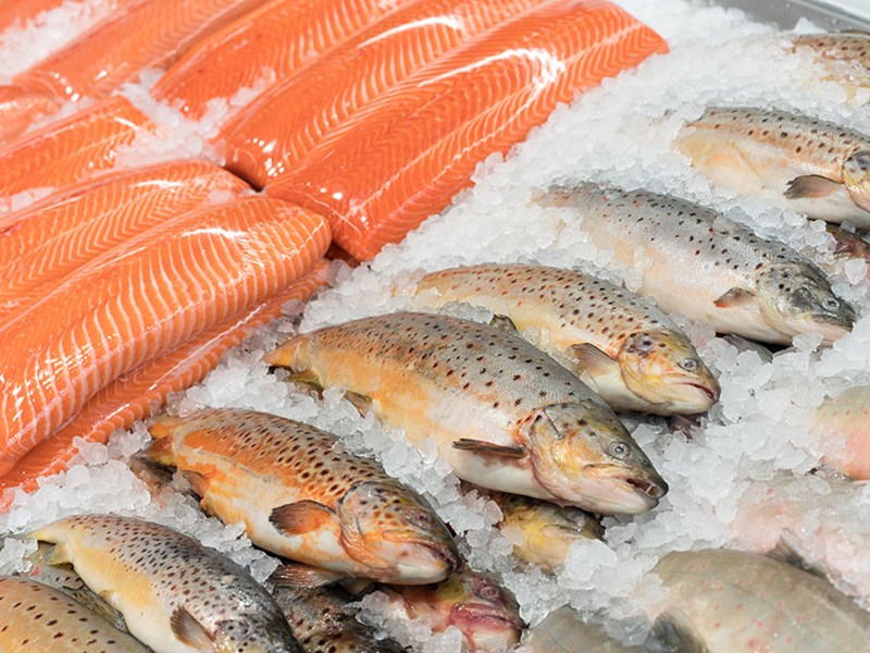 Fresh chilled trout fish and trout fillet at seafood supermarket stall, photo.