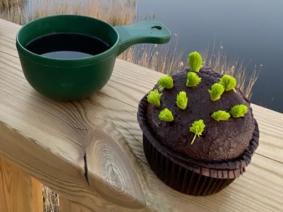En chokladmuffins dekorerad med granskott bredvid en kåsa. Foto.